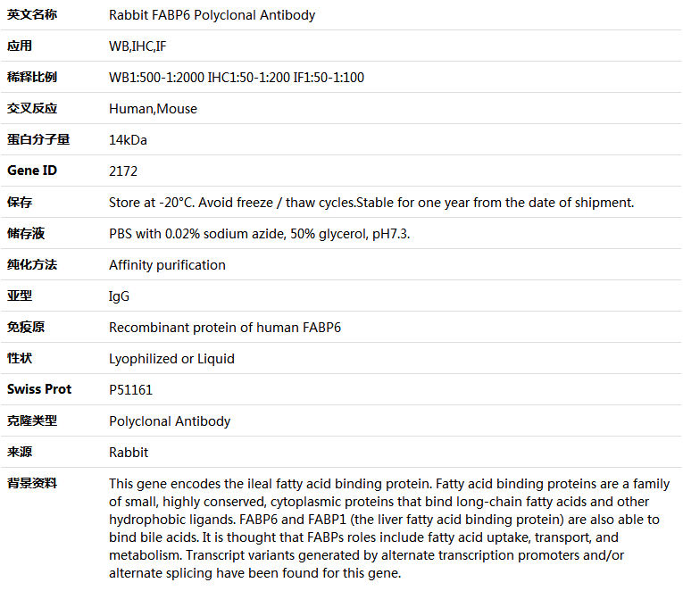 FABP6 Antibody,索莱宝,K004856P-100ul