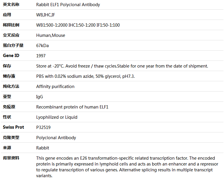 ELF1 Antibody,索莱宝,K004854P-100ul