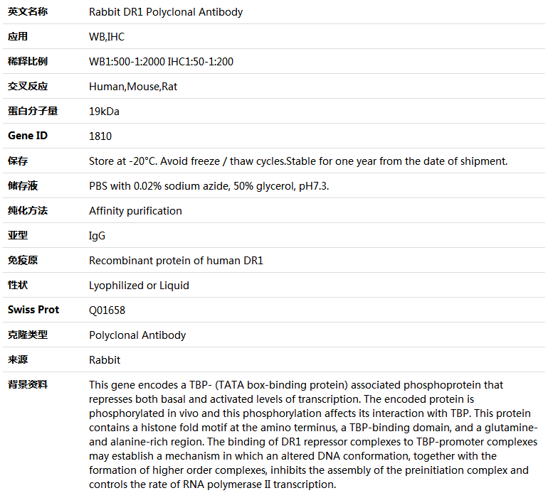 DR1 Antibody,索莱宝,K004853P-100ul