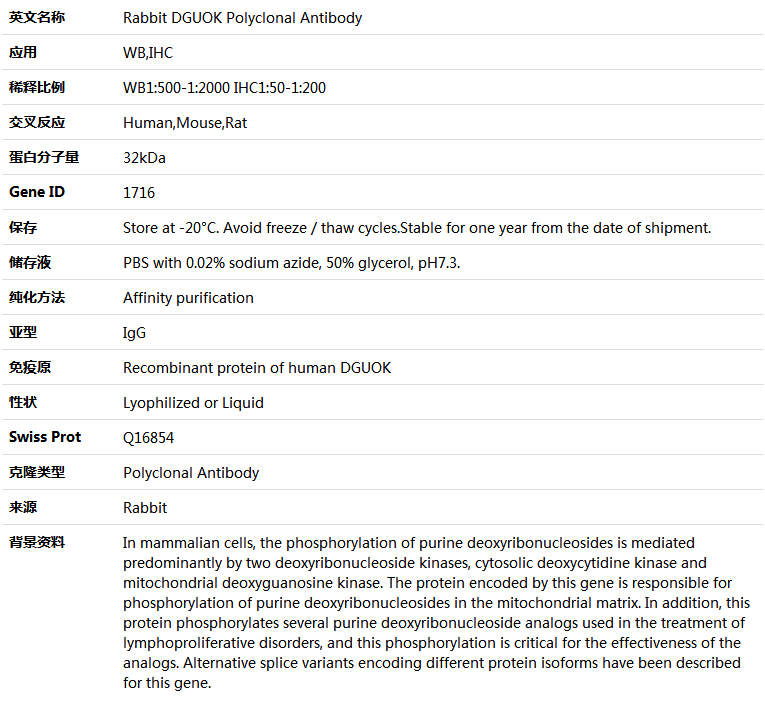 DGUOK Antibody,索莱宝,K004850P-100ul