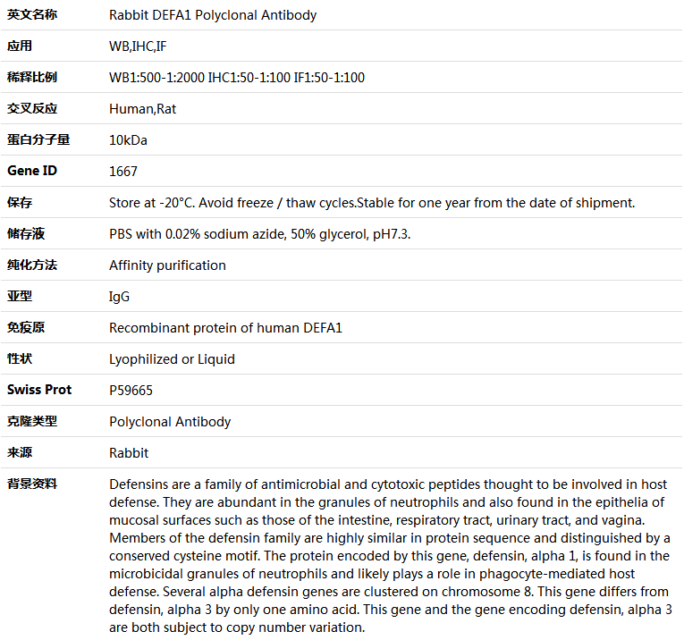 DEFA1 Antibody,索莱宝,K004849P-50ul
