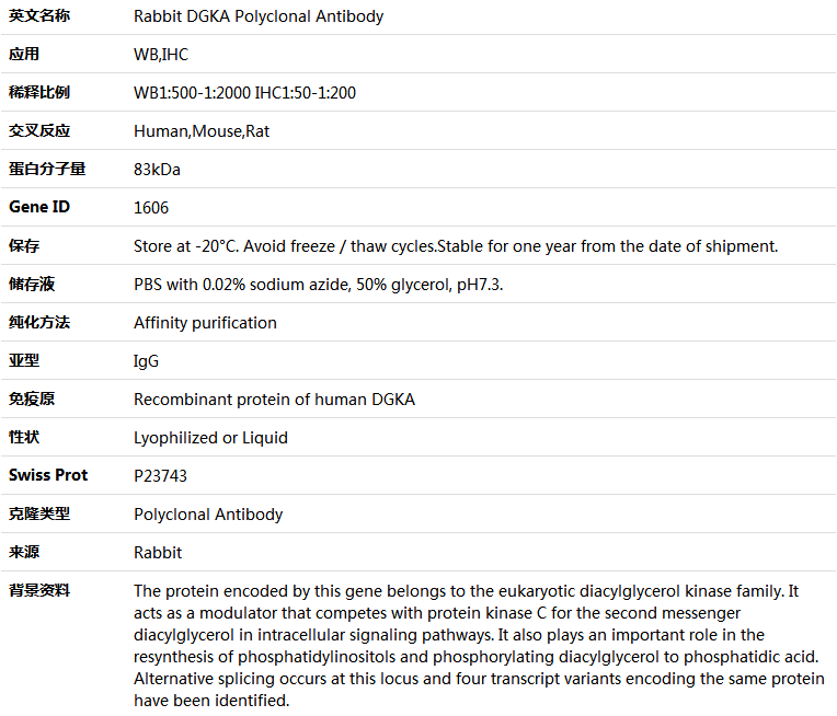 DGKA Antibody,索莱宝,K004848P-50ul