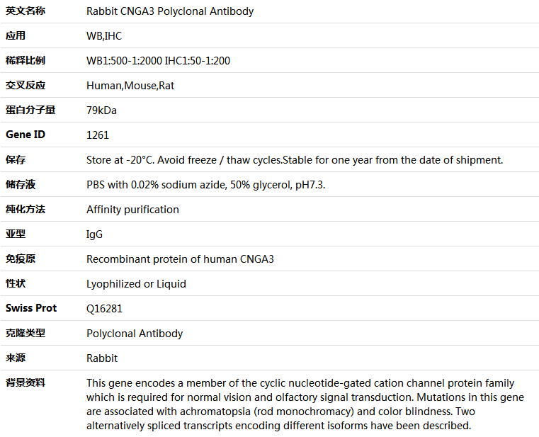 CNGA3 Antibody,索莱宝,K004842P-100ul