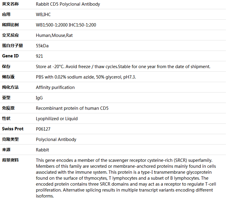 CD5 Antibody,索莱宝,K004840P-100ul