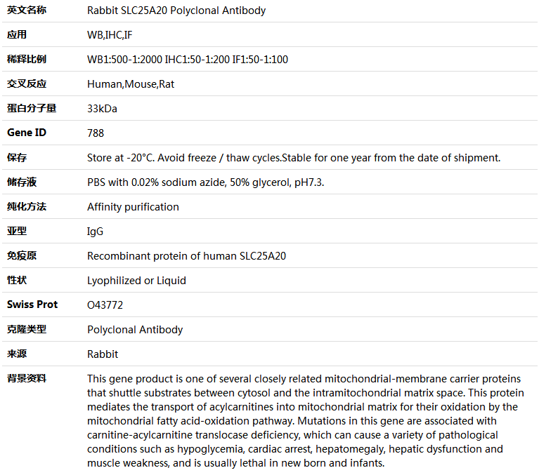 SLC25A20 Antibody,索莱宝,K004839P-50ul