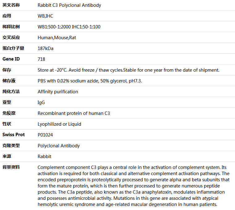 C3 Antibody,索莱宝,K004838P-100ul