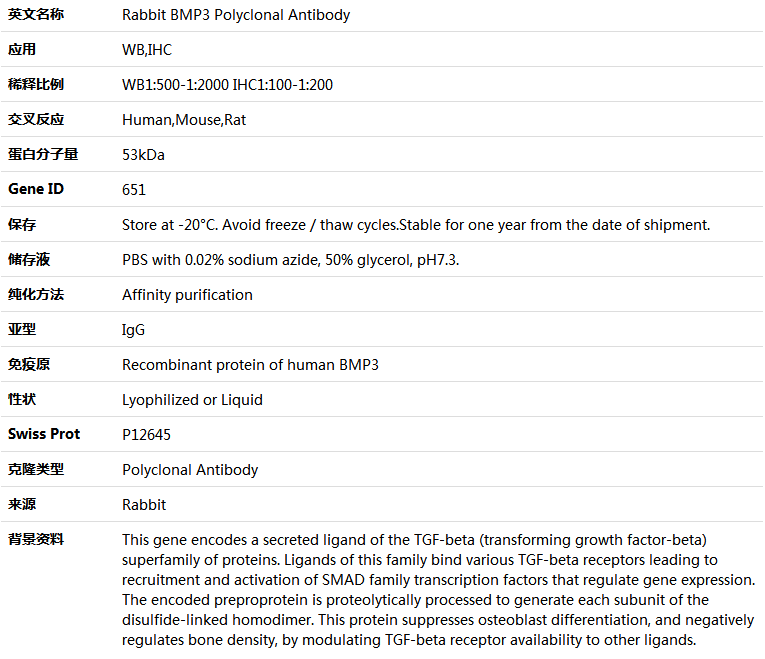 BMP3 Antibody,索莱宝,K004836P-50ul