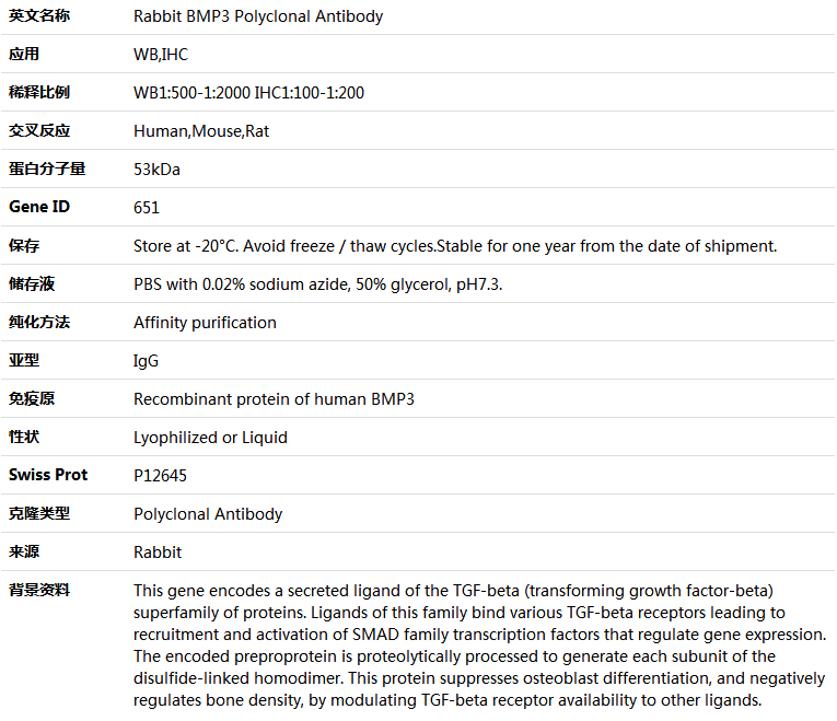 BMP3 Antibody,索莱宝,K004836P-100ul