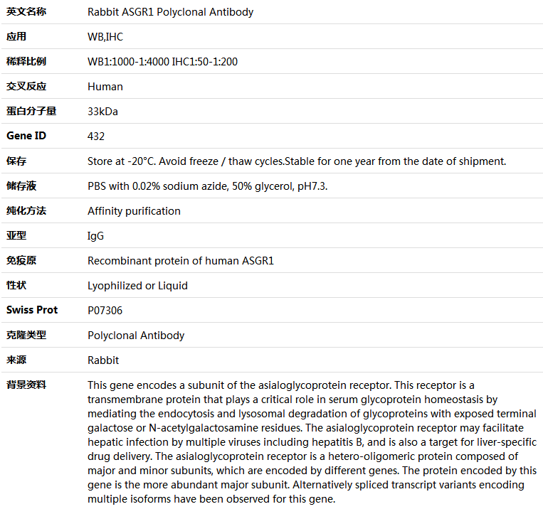 ASGR1 Antibody,索莱宝,K004830P-50ul