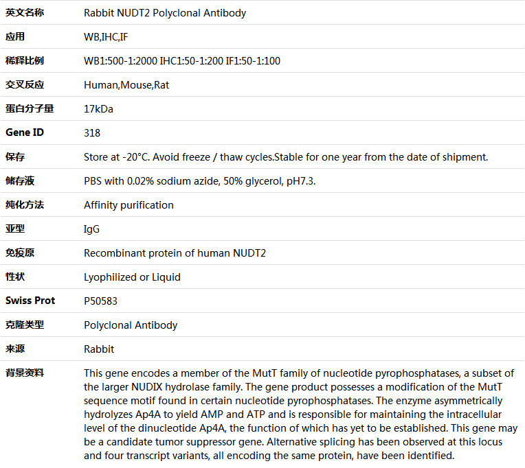 NUDT2 Antibody,索莱宝,K004827P-50ul