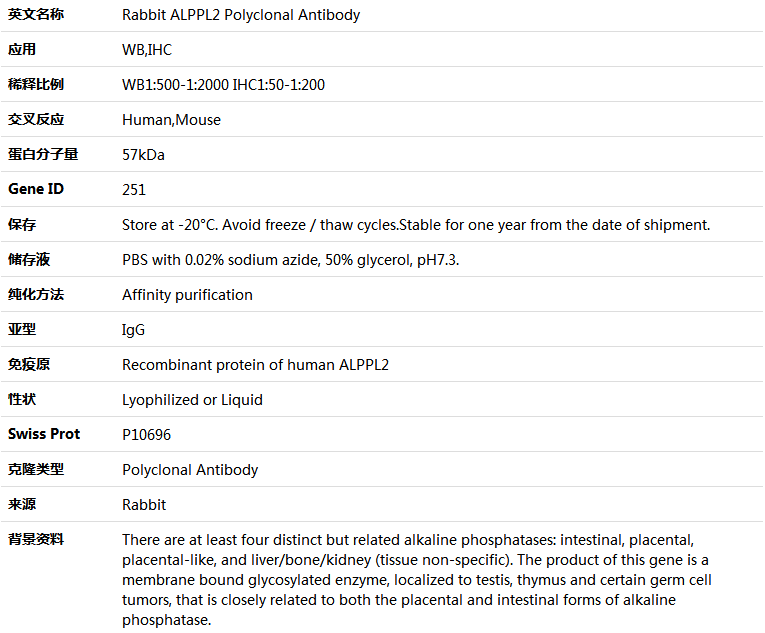 ALPPL2 Antibody,索莱宝,K004825P-100ul