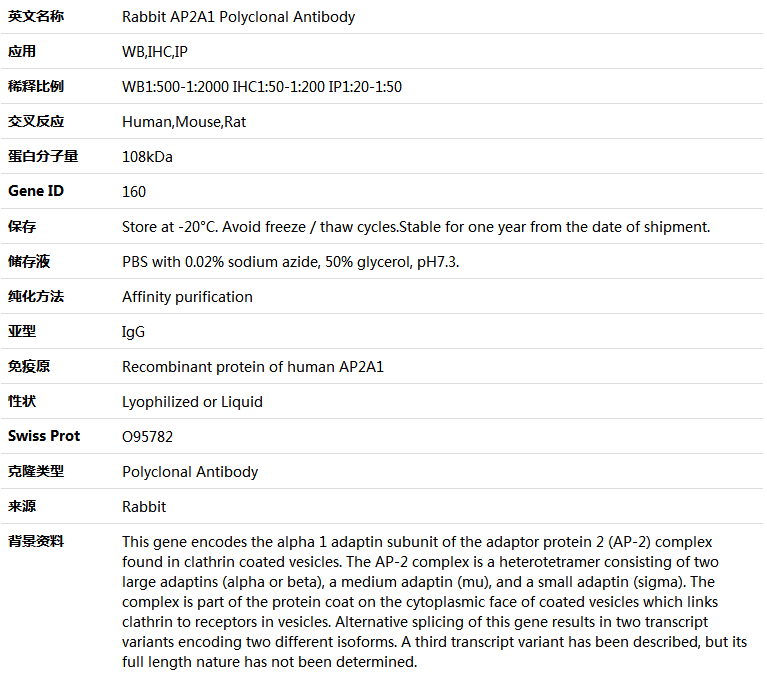 AP2A1 Antibody,索莱宝,K004822P-100ul