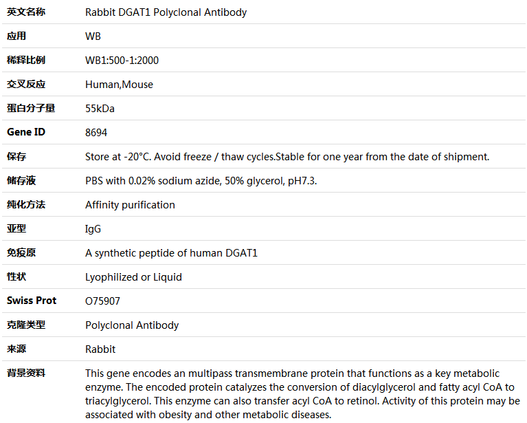 DGAT1 Antibody,索莱宝,K004821P-100ul
