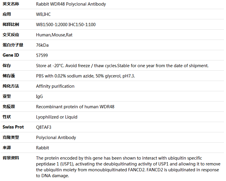 WDR48 Antibody,索莱宝,K004819P-100ul