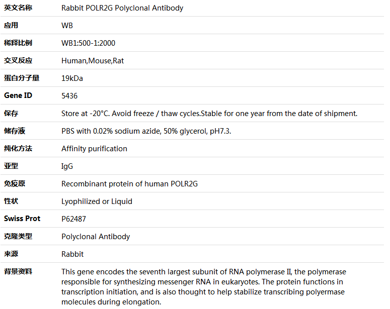 POLR2G Antibody,索莱宝,K004815P-50ul