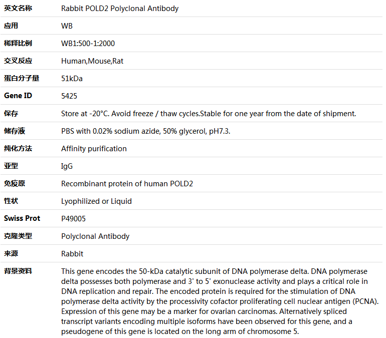 POLD2 Antibody,索莱宝,K004814P-50ul
