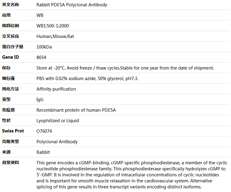 PDE5A Antibody,索莱宝,K004813P-100ul