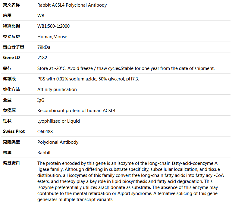 ACSL4 Antibody,索莱宝,K004812P-50ul