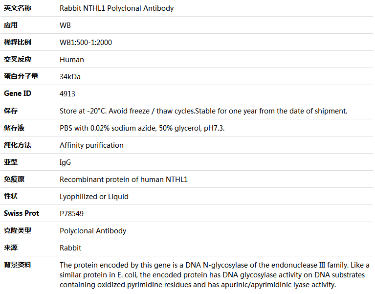 NTHL1 Antibody,索莱宝,K004811P-100ul