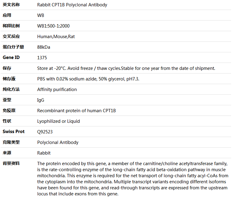 CPT1B Antibody,索莱宝,K004803P-50ul