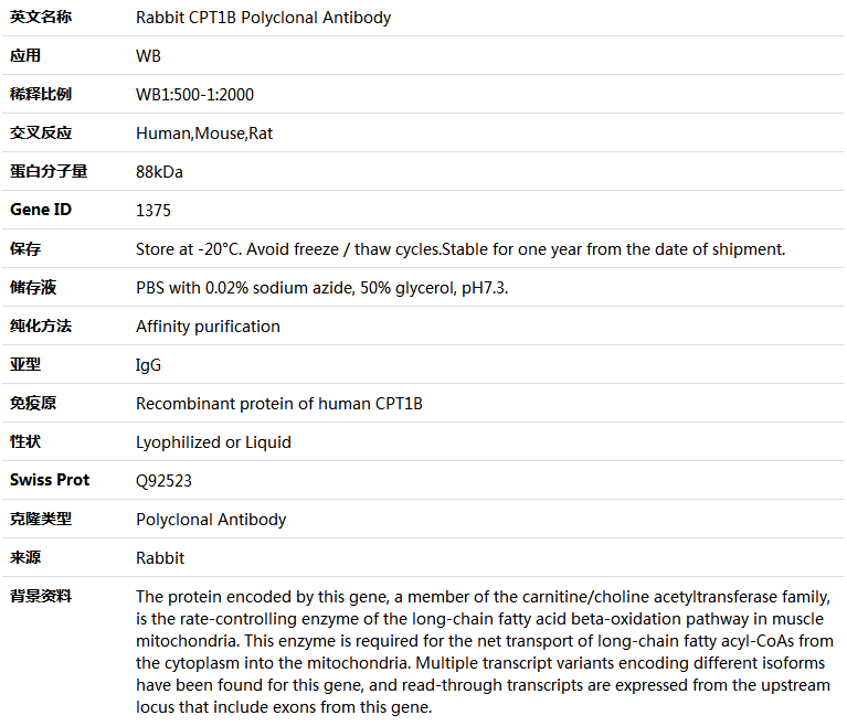 CPT1B Antibody,索莱宝,K004803P-30ul