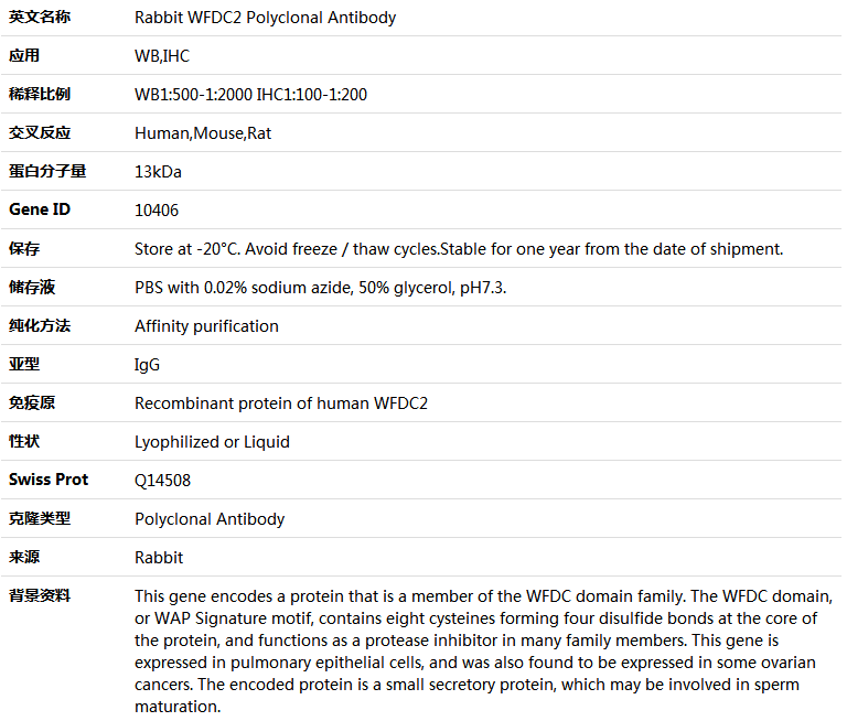 WFDC2 Antibody,索莱宝,K004798P-50ul