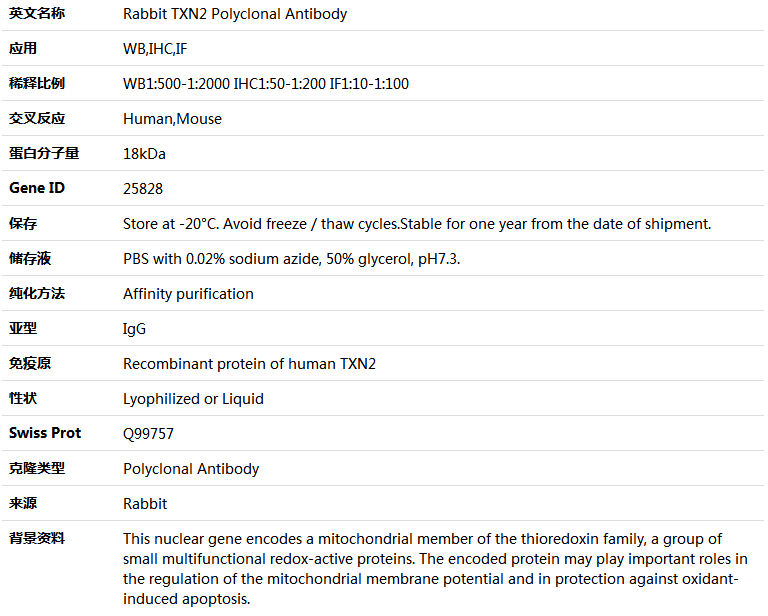 TXN2 Antibody,索莱宝,K004794P-50ul