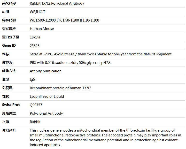 TXN2 Antibody,索莱宝,K004794P-100ul