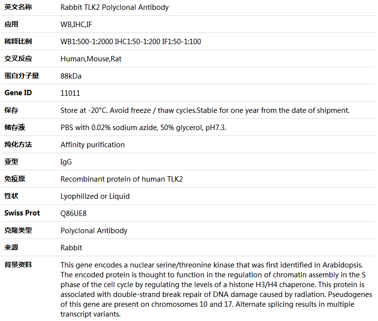 TLK2 Antibody,索莱宝,K004782P-100ul