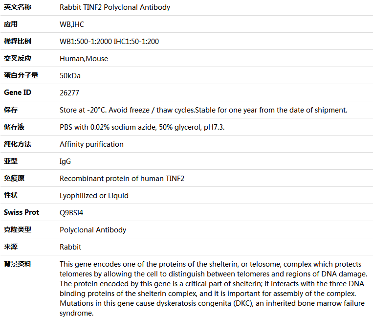 TINF2 Antibody,索莱宝,K004781P-50ul