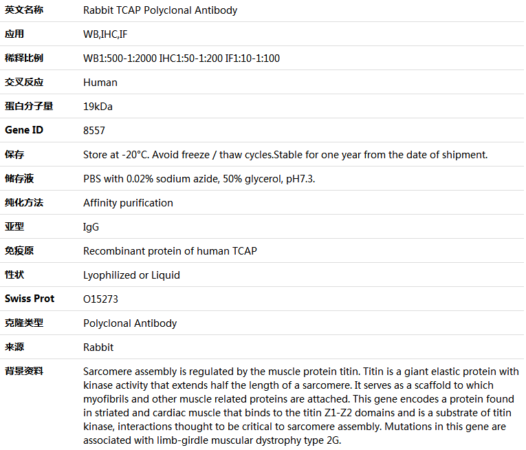 TCAP Antibody,索莱宝,K004779P-50ul