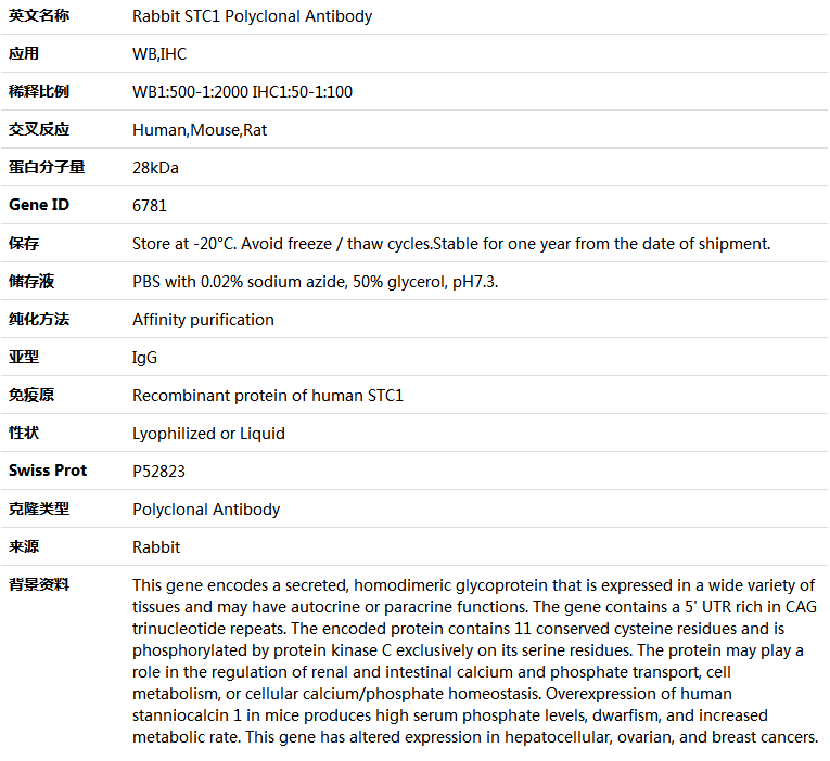 STC1 Antibody,索莱宝,K004770P-100ul