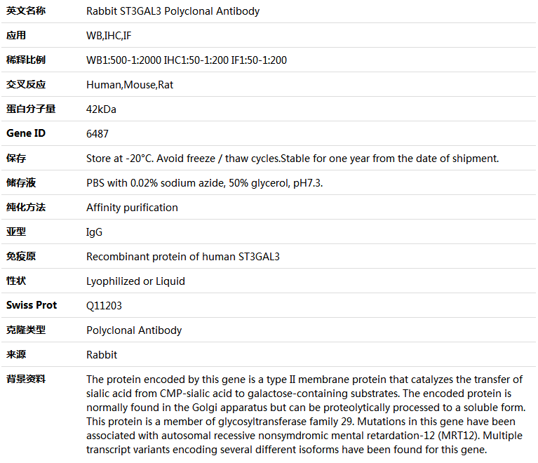 ST3GAL3 Antibody,索莱宝,K004769P-50ul