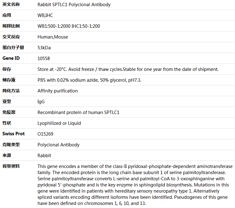 SPTLC1 Antibody,索莱宝,K004766P-50ul