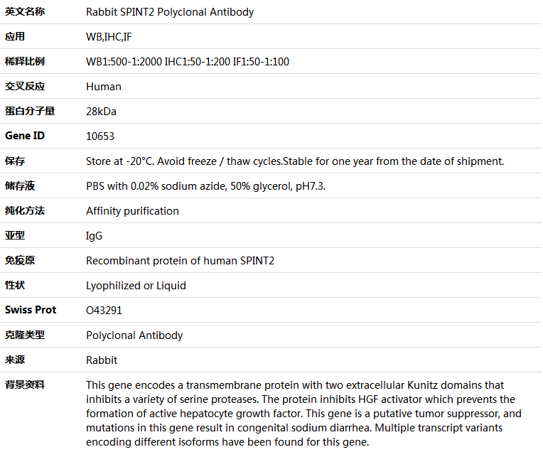 SPINT2 Antibody,索莱宝,K004765P-50ul