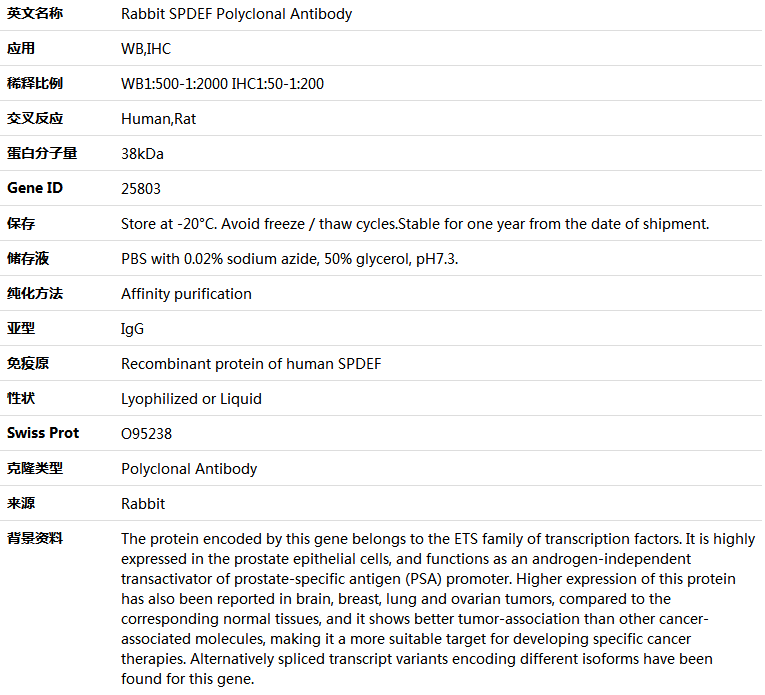 SPDEF Antibody,索莱宝,K004764P-100ul