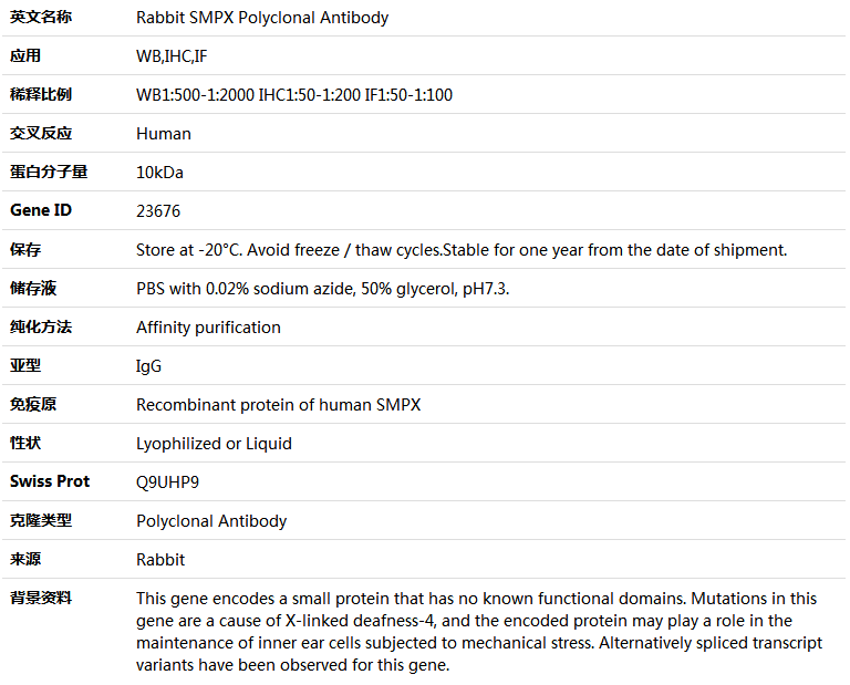 SMPX Antibody,索莱宝,K004761P-100ul