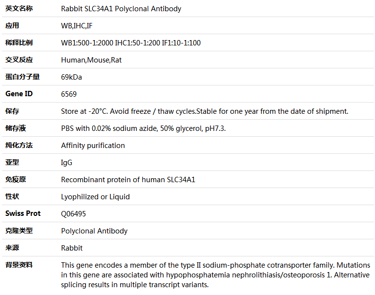 SLC34A1 Antibody,索莱宝,K004759P-100ul