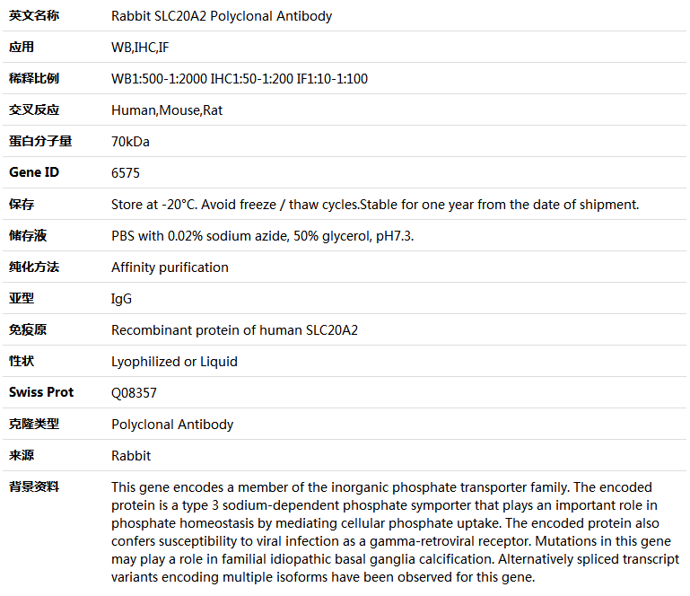 SLC20A2 Antibody,索莱宝,K004758P-100ul