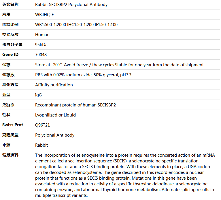 SECISBP2 Antibody,索莱宝,K004755P-50ul