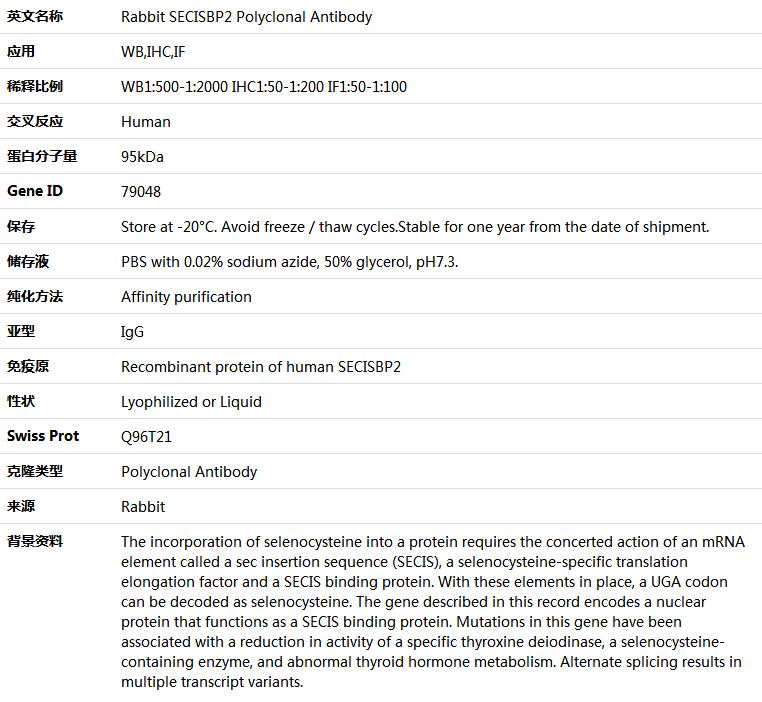 SECISBP2 Antibody,索莱宝,K004755P-100ul