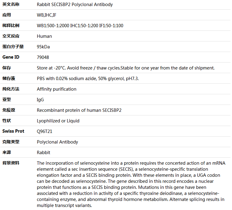 SECISBP2 Antibody,索莱宝,K004755P-50ul