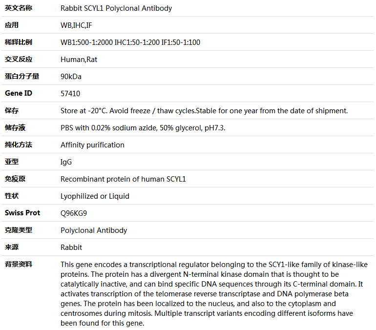 SCYL1 Antibody,索莱宝,K004754P-100ul