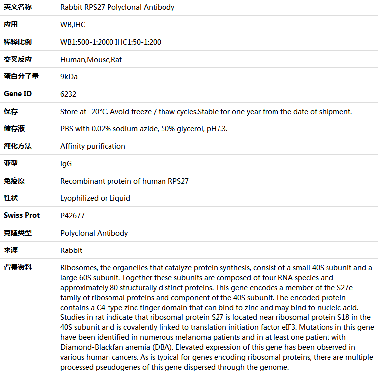 RPS27 Antibody,索莱宝,K004748P-100ul