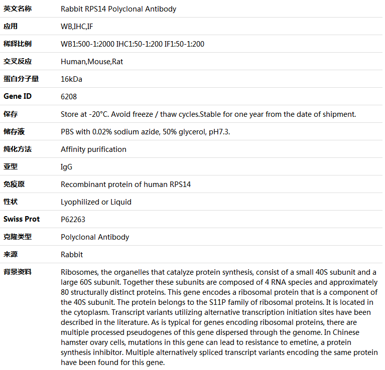 RPS14 Antibody,索莱宝,K004746P-50ul