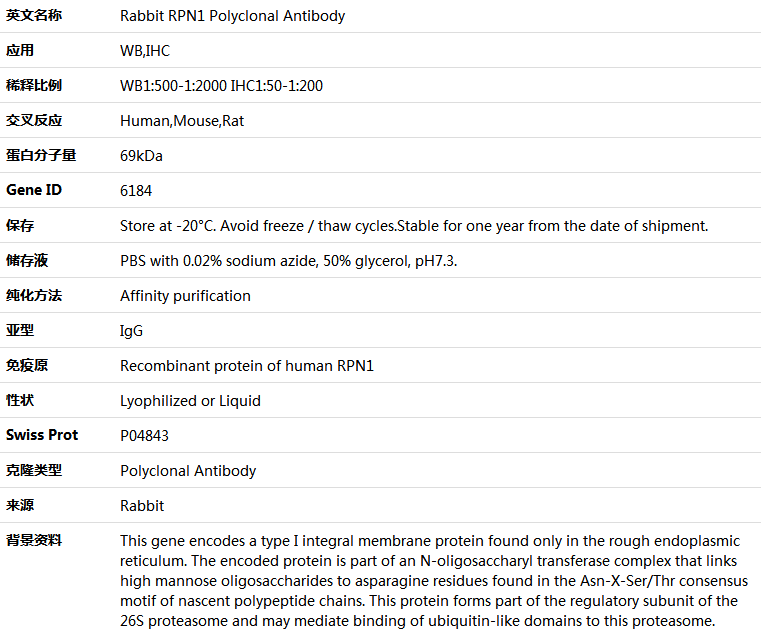 RPN1 Antibody,索莱宝,K004745P-100ul