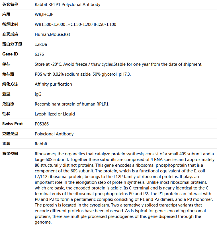 RPLP1 Antibody,索莱宝,K004744P-100ul