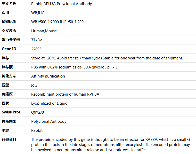 RPH3A Antibody,索莱宝,K004741P-30ul