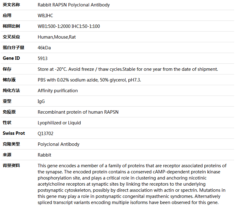 RAPSN Antibody,索莱宝,K004737P-100ul