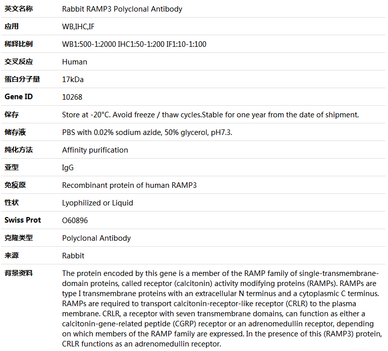 RAMP3 Antibody,索莱宝,K004736P-100ul